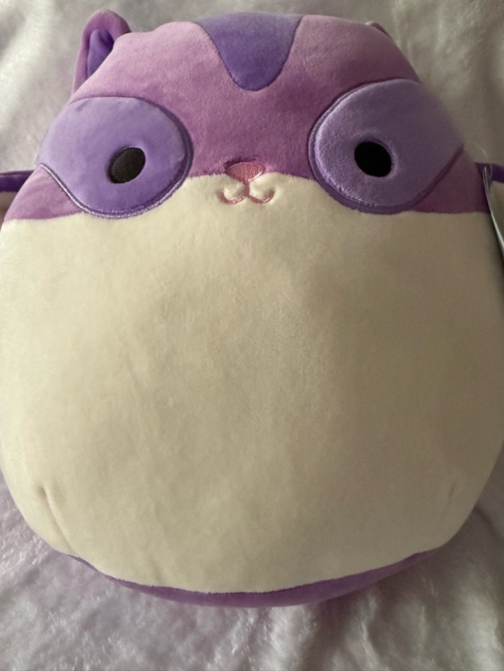 New Joy the Sugar Glider 12” Plush Squishmallow - Picture 2 of 6
